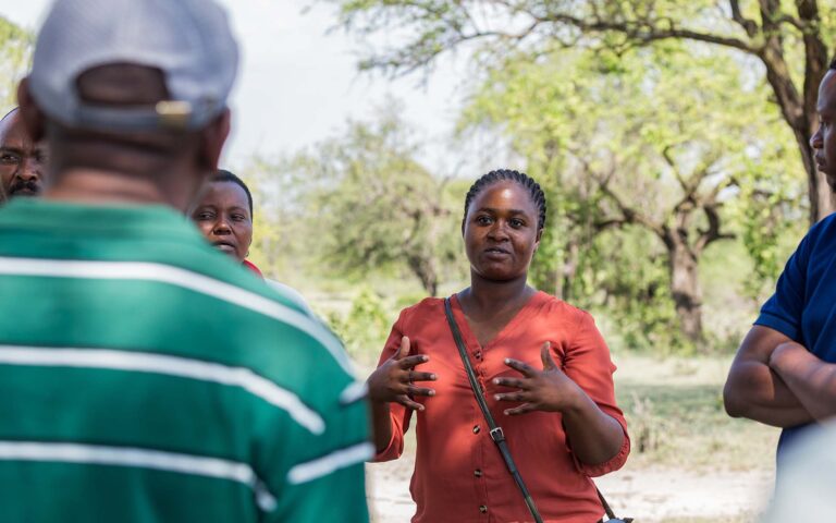 Partnerships and Volunteer Engagement